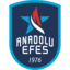 Anadolu Efes